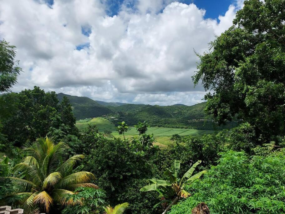 Appartement T2 Le Vallon Au Marin Martinique Le Marin Экстерьер фото